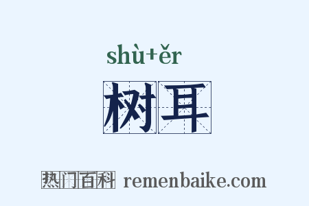 树耳是什么意思的图片